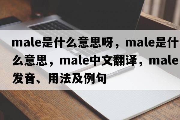 male是什么意思呀，male是什么意思，male中文翻譯，male發(fā)音、用法及例句