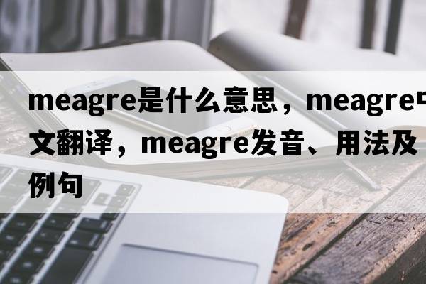meagre是什么意思，meagre中文翻譯，meagre發(fā)音、用法及例句