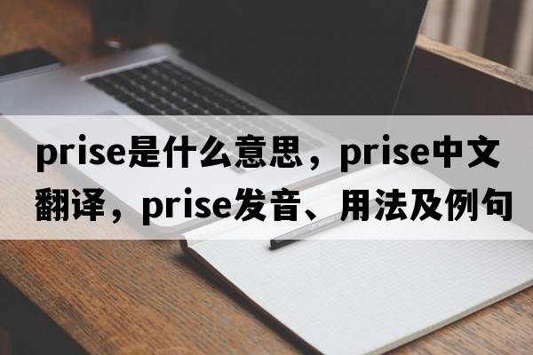 prise是什么意思，prise中文翻譯，prise發(fā)音、用法及例句