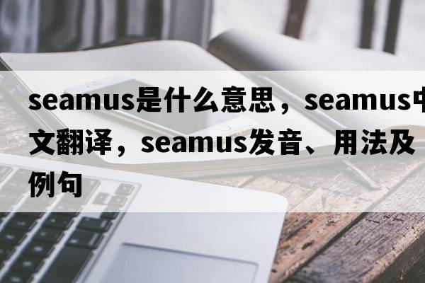 Seamus是什么意思，Seamus中文翻譯，Seamus發(fā)音、用法及例句
