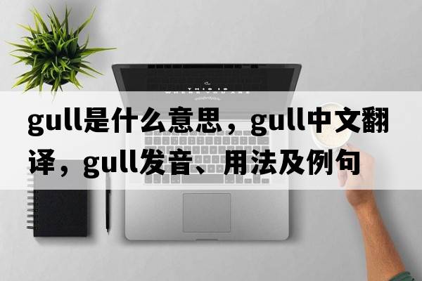 gull是什么意思，gull中文翻譯，gull發(fā)音、用法及例句