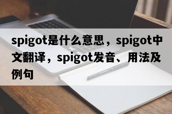 spigot是什么意思，spigot中文翻譯，spigot發(fā)音、用法及例句