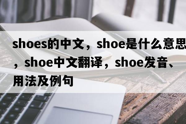shoes的中文，shoe是什么意思，shoe中文翻譯，shoe發(fā)音、用法及例句
