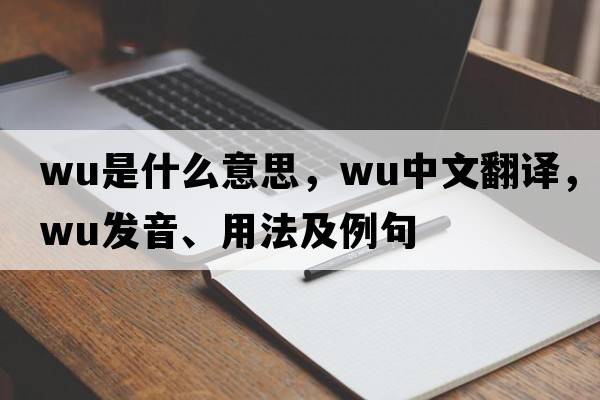 wu是什么意思，wu中文翻譯，wu發(fā)音、用法及例句