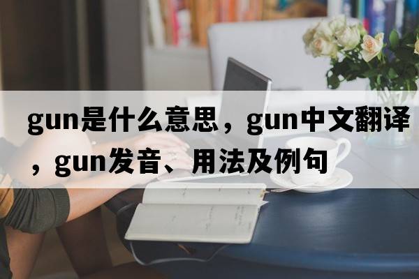 gun是什么意思，gun中文翻譯，gun發(fā)音、用法及例句