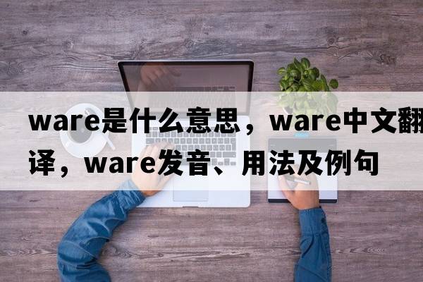 ware是什么意思，ware中文翻譯，ware發(fā)音、用法及例句
