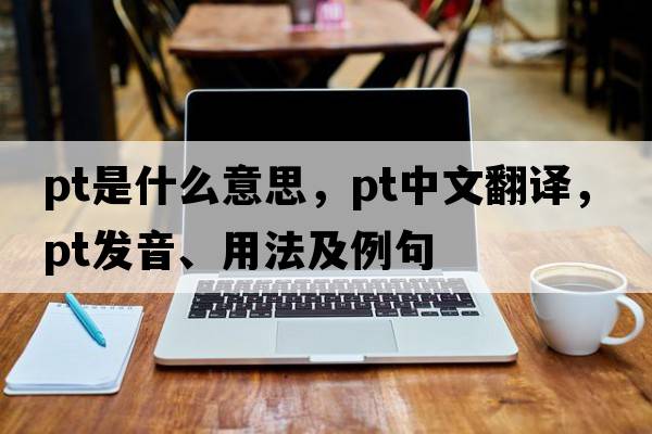 PT是什么意思，PT中文翻譯，PT發(fā)音、用法及例句