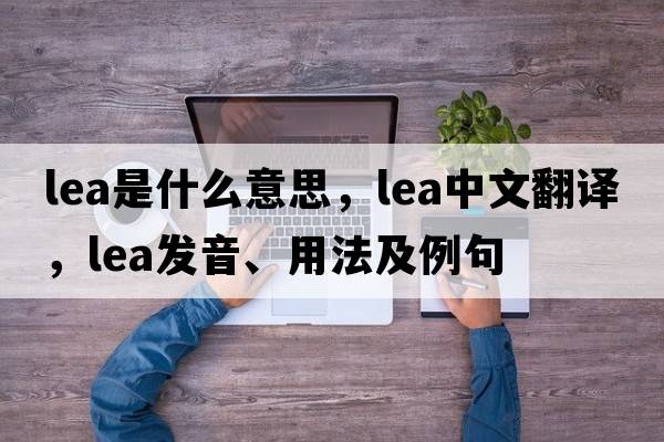 lea是什么意思，lea中文翻譯，lea發(fā)音、用法及例句