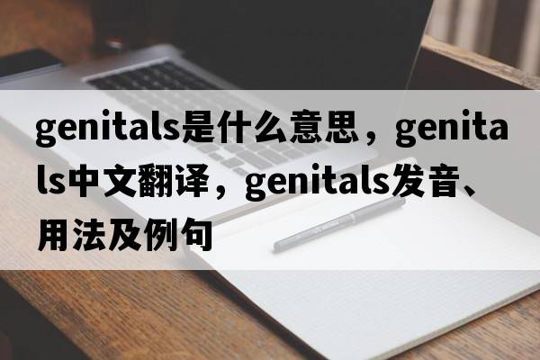 genitals是什么意思，genitals中文翻譯，genitals發(fā)音、用法及例句