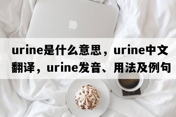 urine是什么意思，urine中文翻譯，urine發(fā)音、用法及例句