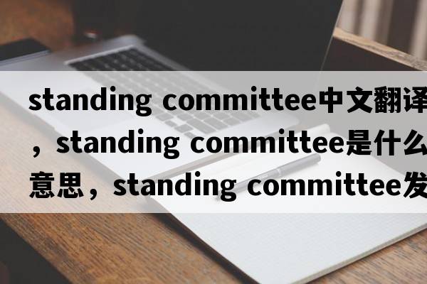 standing committee中文翻譯，standing committee是什么意思，standing committee發(fā)音、用法及例句