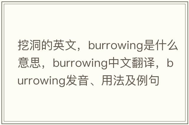 挖洞的英文，burrowing是什么意思，burrowing中文翻譯，burrowing發(fā)音、用法及例句