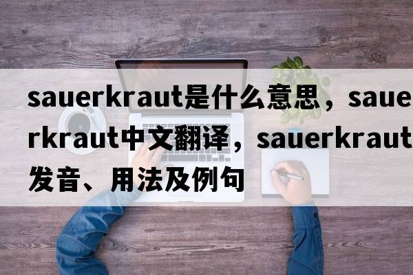 sauerkraut是什么意思，sauerkraut中文翻譯，sauerkraut發(fā)音、用法及例句