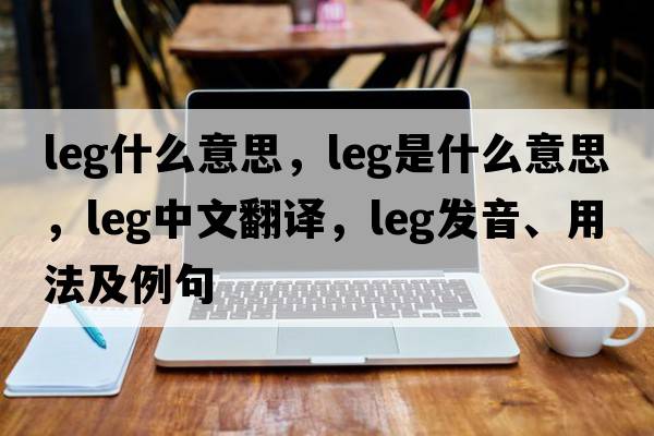 Leg什么意思，leg是什么意思，leg中文翻譯，leg發(fā)音、用法及例句