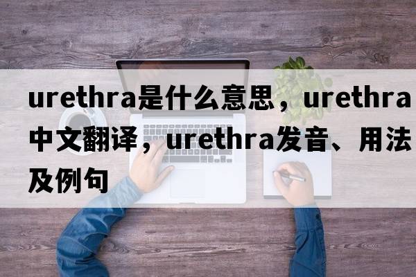urethra是什么意思，urethra中文翻譯，urethra發(fā)音、用法及例句