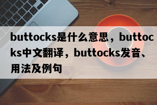 buttocks是什么意思，buttocks中文翻譯，buttocks發(fā)音、用法及例句