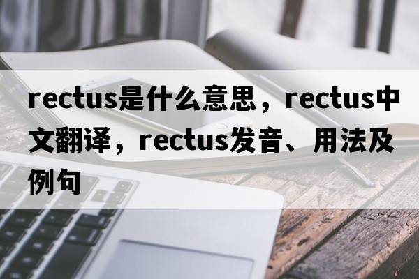 rectus是什么意思，rectus中文翻譯，rectus發(fā)音、用法及例句