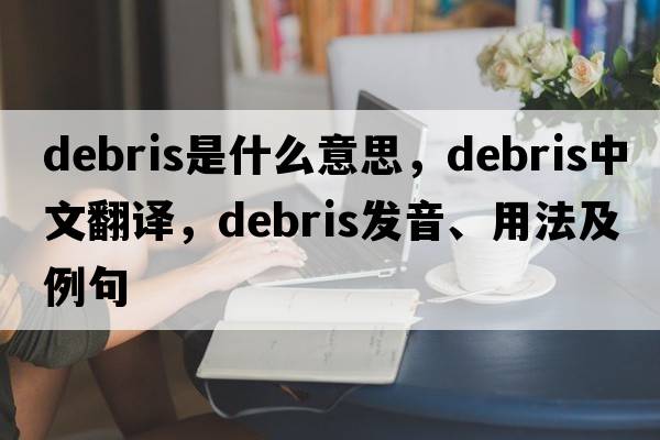 debris是什么意思，debris中文翻譯，debris發(fā)音、用法及例句
