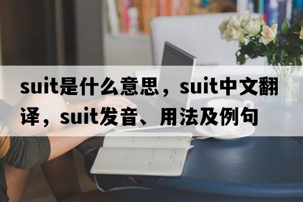 suit是什么意思，suit中文翻譯，suit發(fā)音、用法及例句