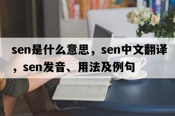 SEN是什么意思，SEN中文翻譯，SEN發(fā)音、用法及例句
