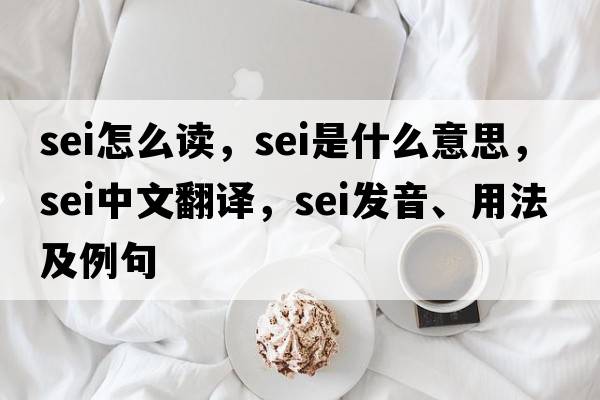 sei怎么讀，sei是什么意思，sei中文翻譯，sei發(fā)音、用法及例句