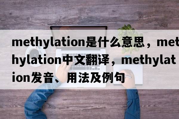 methylation是什么意思，methylation中文翻譯，methylation發(fā)音、用法及例句