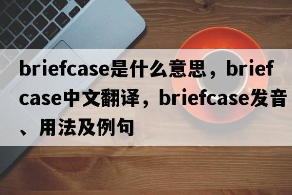 briefcase是什么意思，briefcase中文翻譯，briefcase發(fā)音、用法及例句