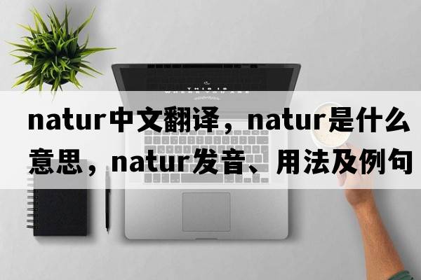 natur中文翻譯，natur是什么意思，natur發(fā)音、用法及例句