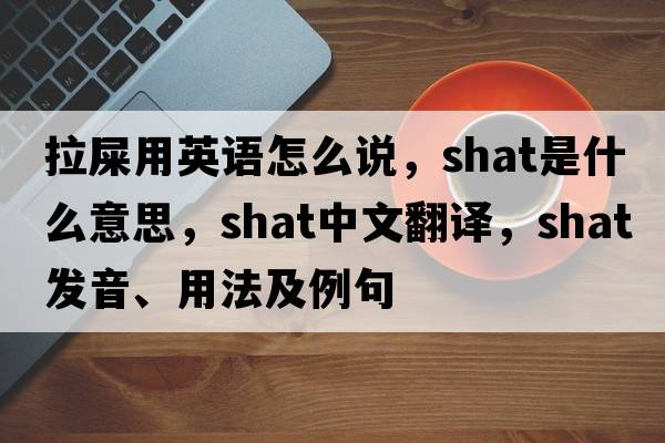拉屎用英語(yǔ)怎么說(shuō)，shat是什么意思，shat中文翻譯，shat發(fā)音、用法及例句