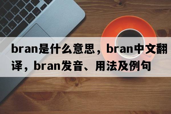 bran是什么意思，bran中文翻譯，bran發(fā)音、用法及例句
