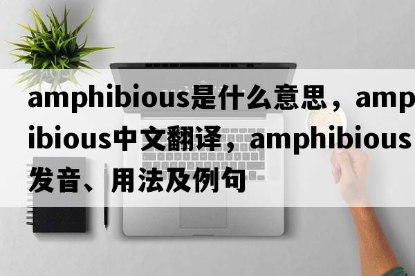 amphibious是什么意思，amphibious中文翻譯，amphibious發(fā)音、用法及例句