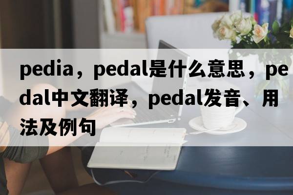 pedia，pedal是什么意思，pedal中文翻譯，pedal發(fā)音、用法及例句
