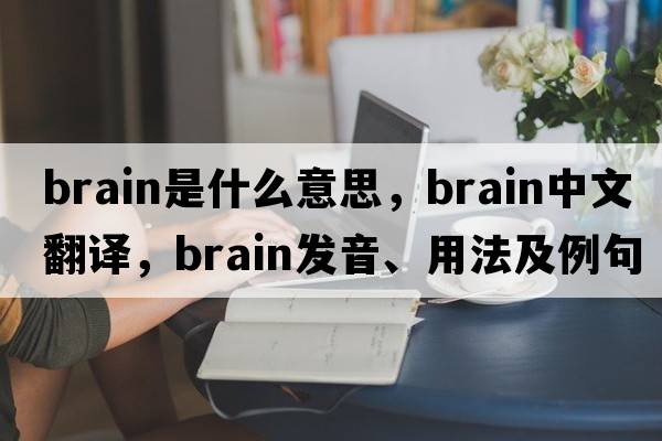 brain是什么意思，brain中文翻譯，brain發(fā)音、用法及例句