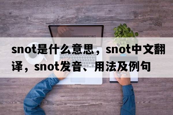 snot是什么意思，snot中文翻譯，snot發(fā)音、用法及例句