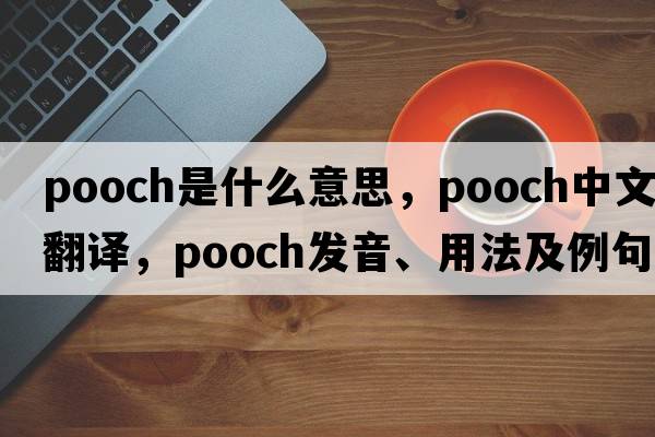 pooch是什么意思，pooch中文翻譯，pooch發(fā)音、用法及例句