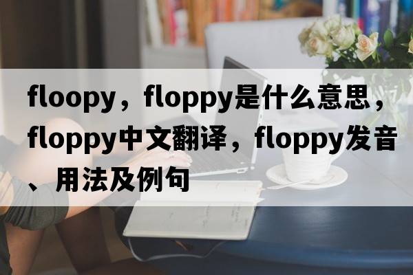 floopy，floppy是什么意思，floppy中文翻譯，floppy發(fā)音、用法及例句