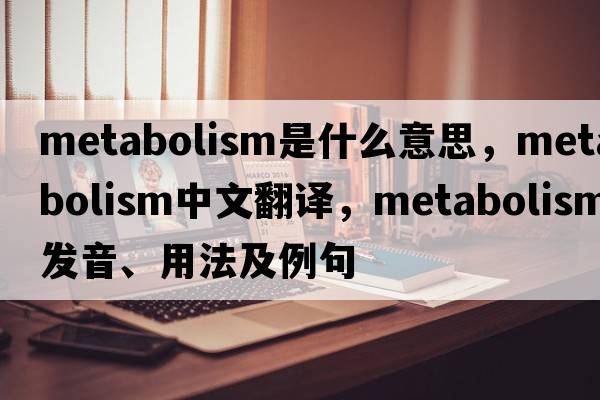 metabolism是什么意思，metabolism中文翻譯，metabolism發(fā)音、用法及例句