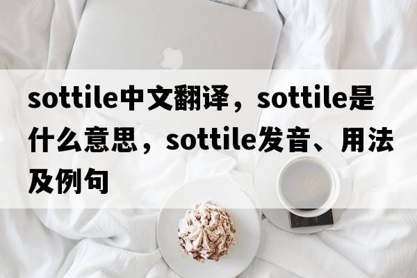 sottile中文翻譯，sottile是什么意思，sottile發(fā)音、用法及例句