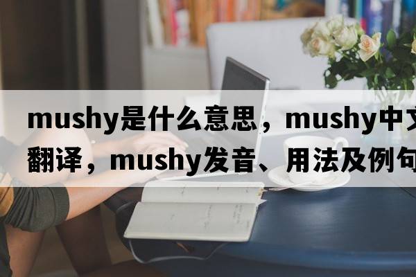 mushy是什么意思，mushy中文翻譯，mushy發(fā)音、用法及例句