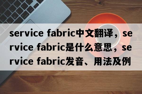service fabric中文翻譯，service fabric是什么意思，service fabric發(fā)音、用法及例句