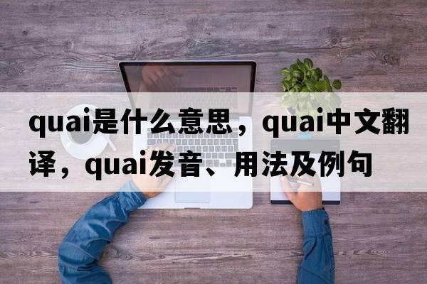 Quai是什么意思，Quai中文翻譯，Quai發(fā)音、用法及例句