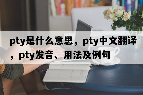 pty是什么意思，pty中文翻譯，pty發(fā)音、用法及例句