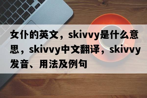 女仆的英文，skivvy是什么意思，skivvy中文翻譯，skivvy發(fā)音、用法及例句