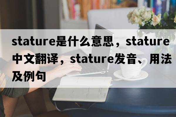 stature是什么意思，stature中文翻譯，stature發(fā)音、用法及例句