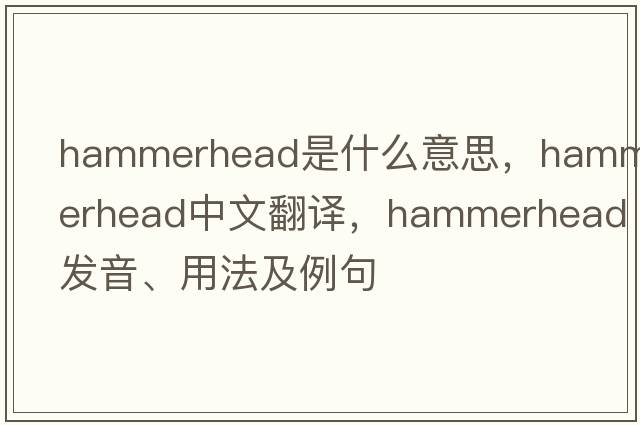 hammerhead是什么意思，hammerhead中文翻譯，hammerhead發(fā)音、用法及例句