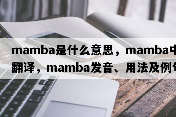mamba是什么意思，mamba中文翻譯，mamba發(fā)音、用法及例句
