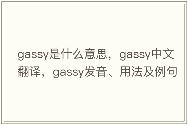 gassy是什么意思，gassy中文翻譯，gassy發(fā)音、用法及例句