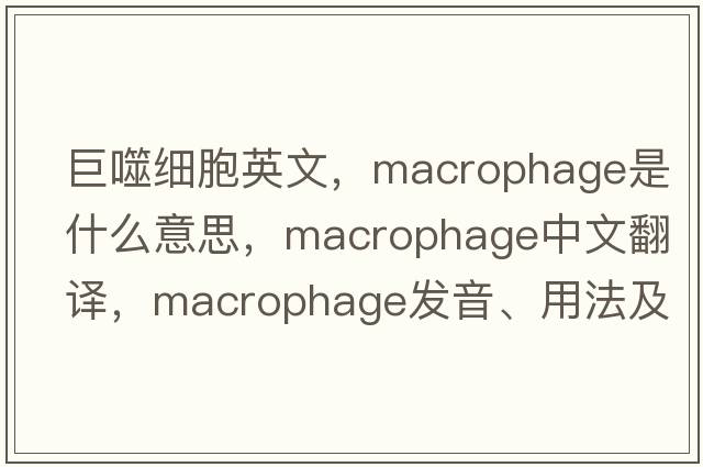 巨噬細胞英文，macrophage是什么意思，macrophage中文翻譯，macrophage發(fā)音、用法及例句