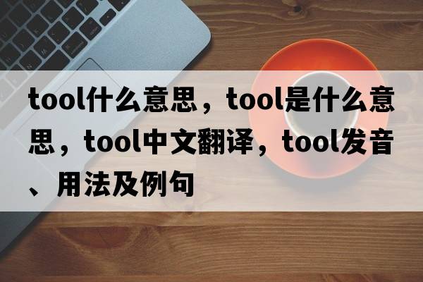 tool什么意思，tool是什么意思，tool中文翻譯，tool發(fā)音、用法及例句