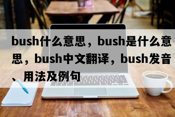 bush什么意思，bush是什么意思，bush中文翻譯，bush發(fā)音、用法及例句